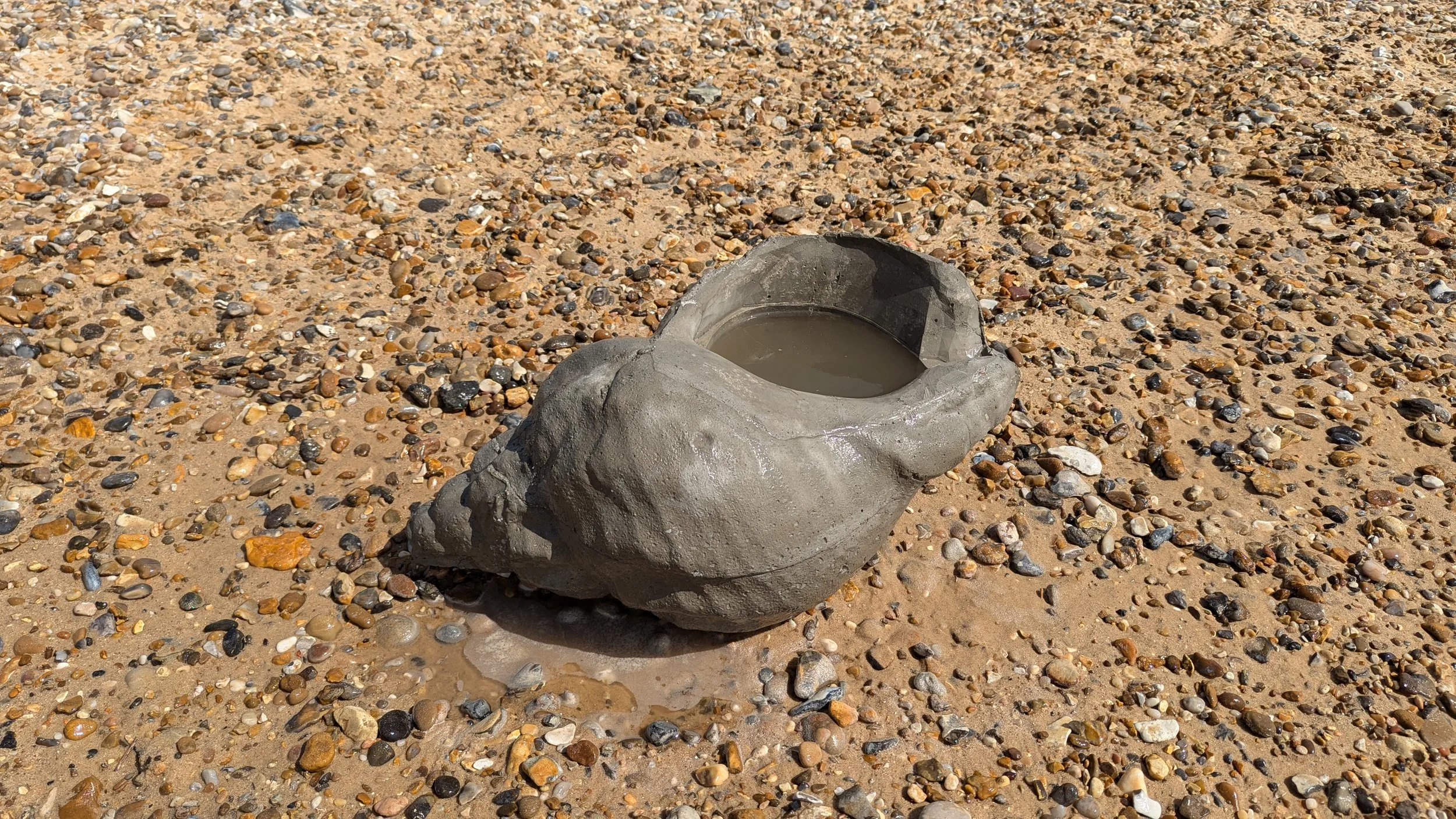ExoWhelk: Opportunities for restoring lost coastal habitats