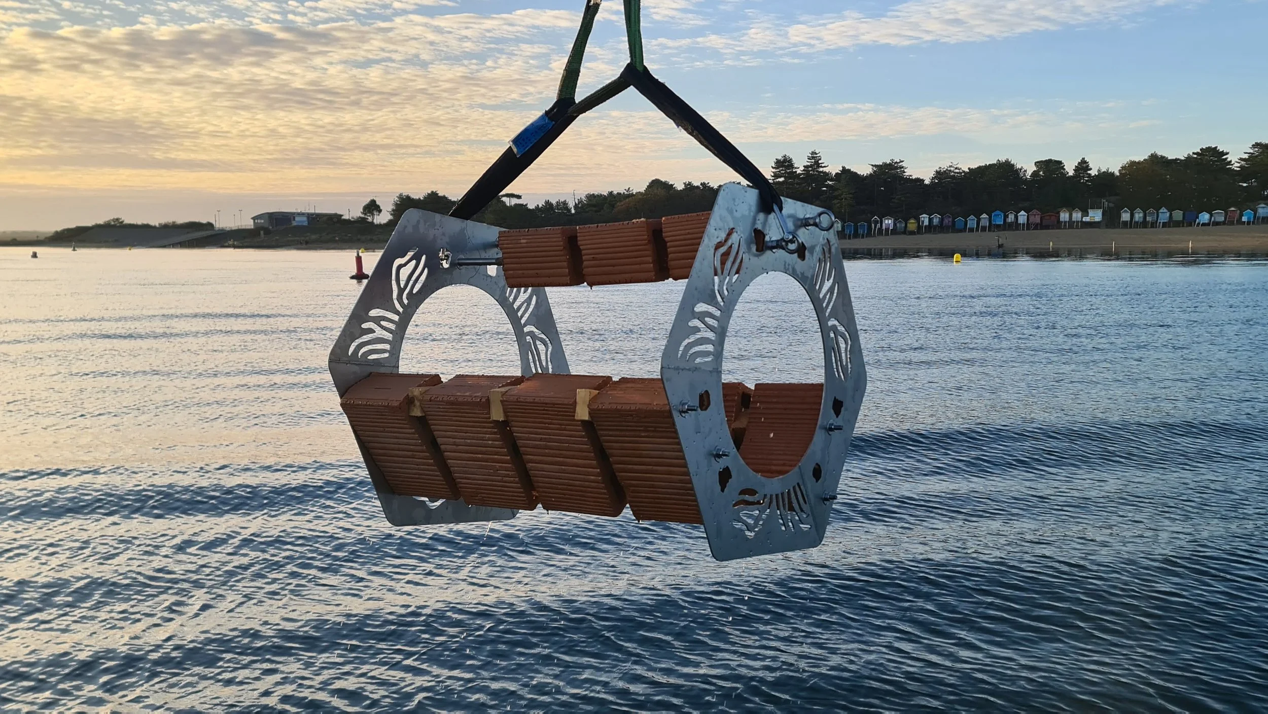 Introducing the ‘ExoHub’: New opportunities for restoring oysters