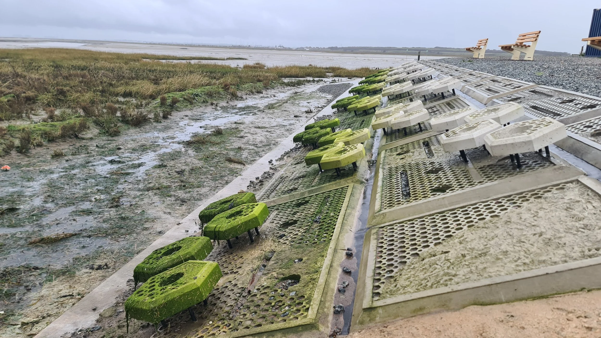 Coastal Nature Inclusive Design: Why is it importANt &amp; how does it work?