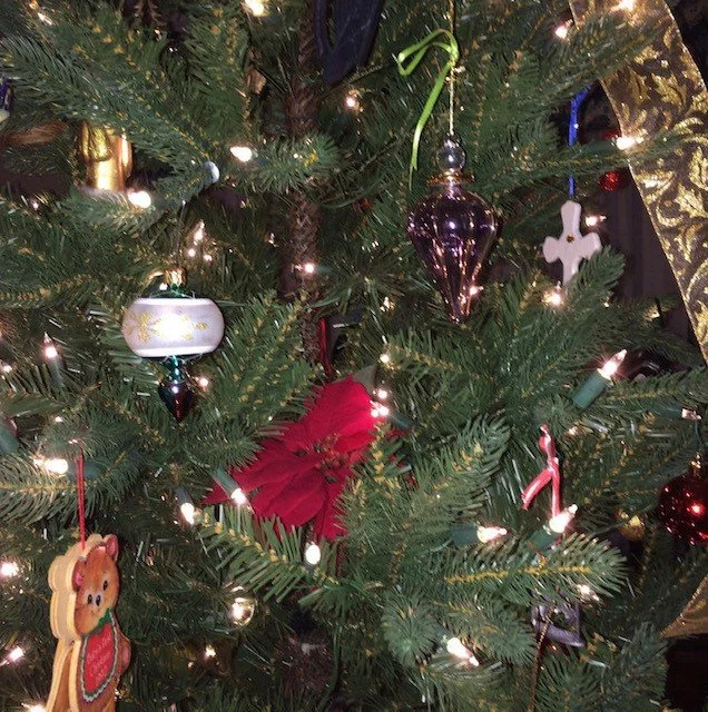 Big Bob, Christmas and the Year    of the Bike