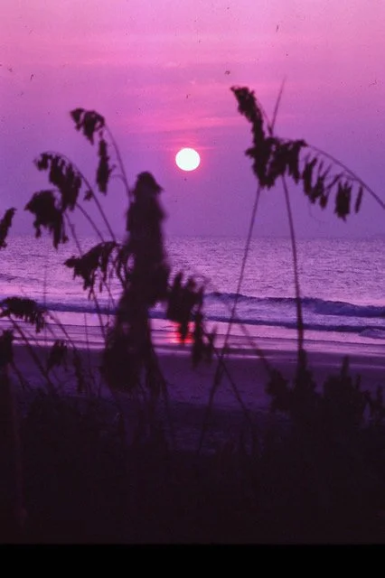 Temptations, Gin and the Great Watermelon Heist&nbsp;