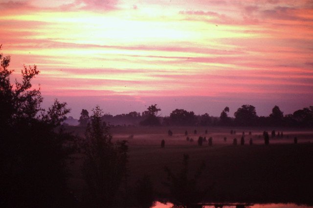 Fire Stories, Pig Tales and Friends