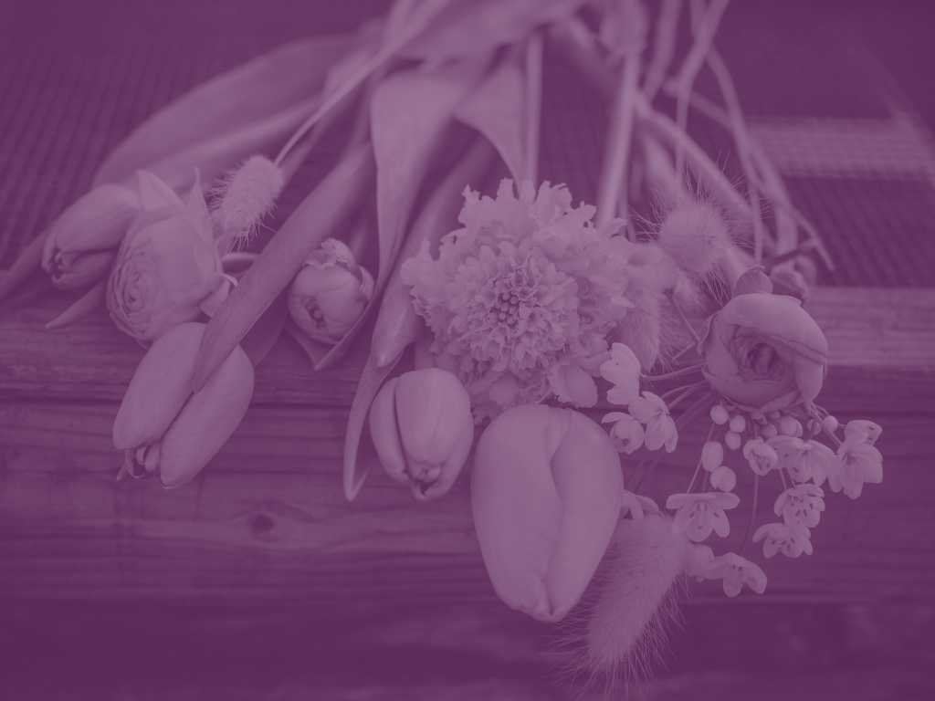 Spring Cleaning: How to Repurpose Your Content for a ‘Fresh’ Feeling