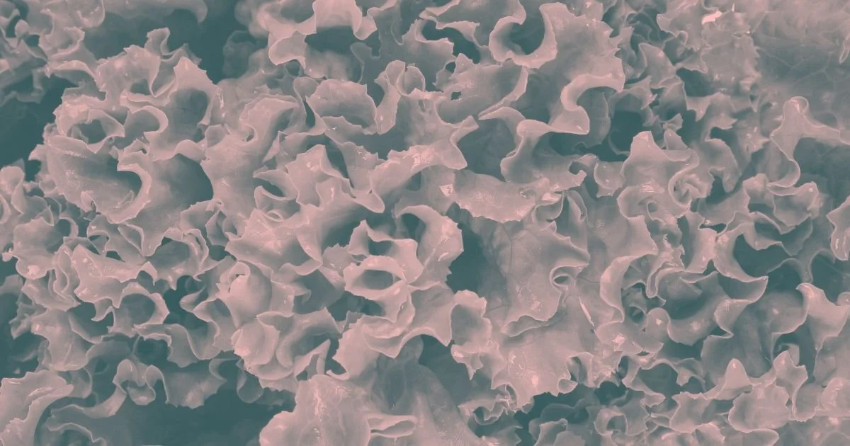 the sPRint: Taco Bell Does Parasite PR