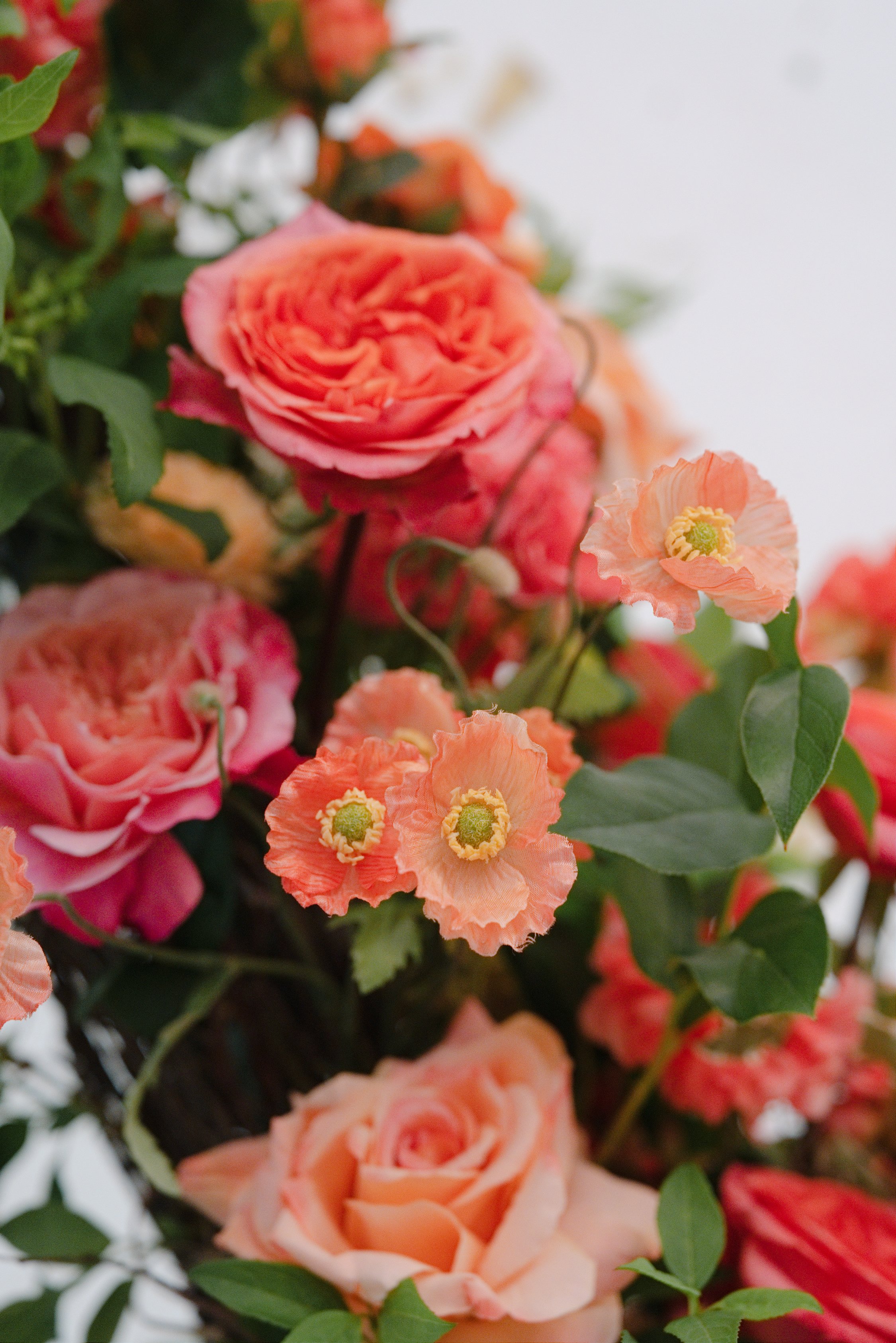Tented-Wedding-Planner-DMV112.jpg