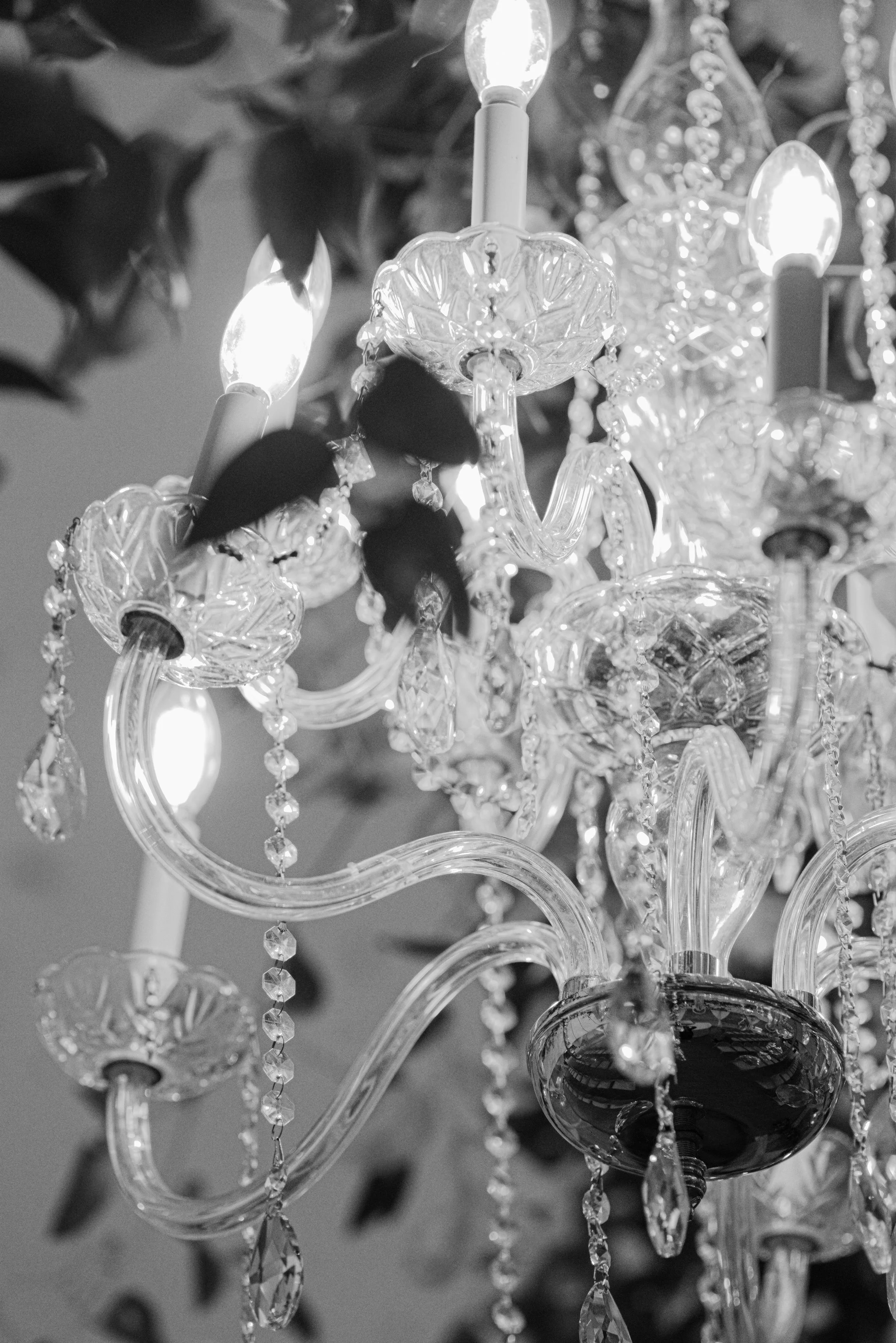 Tented-Wedding-Planner-DMV114.jpg