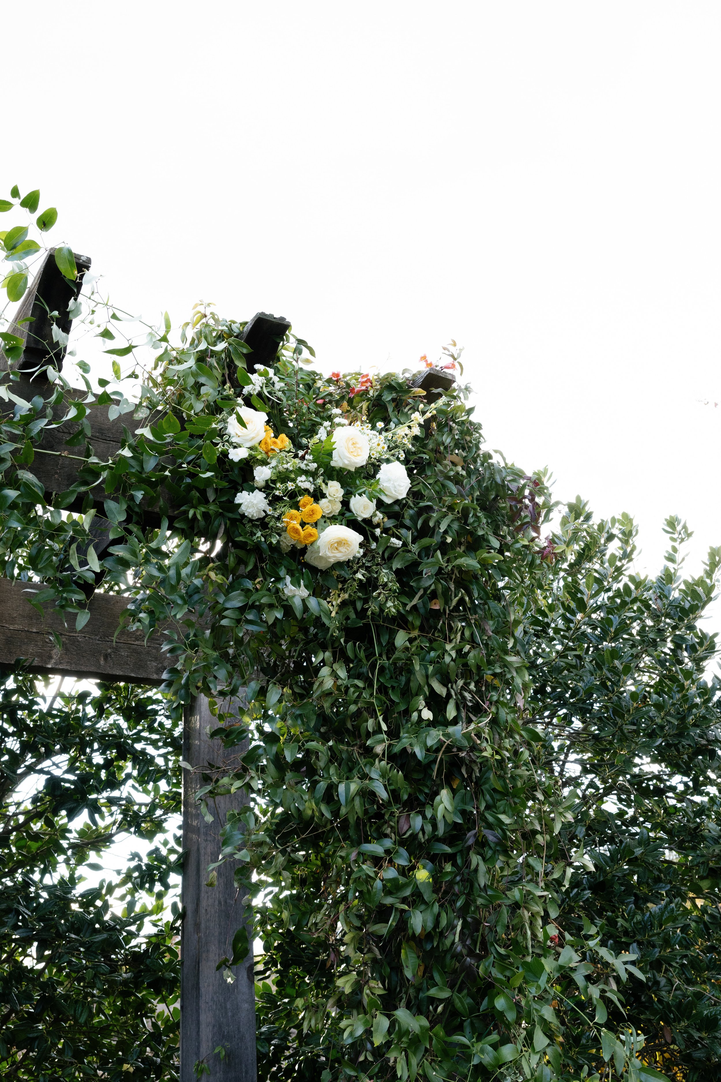 fleetwood-farm-winery-wedding-va-5.jpg