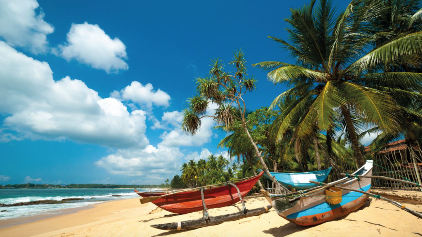 TRAVEL IDEAS: JANUARY 