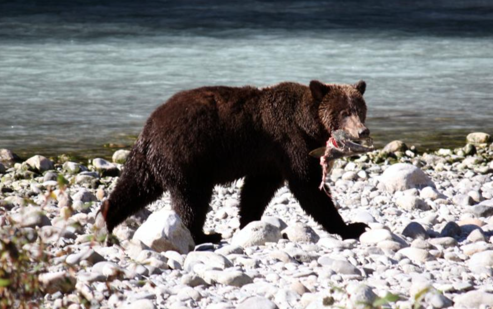 TRAVEL IDEAS: SEPTEMBER