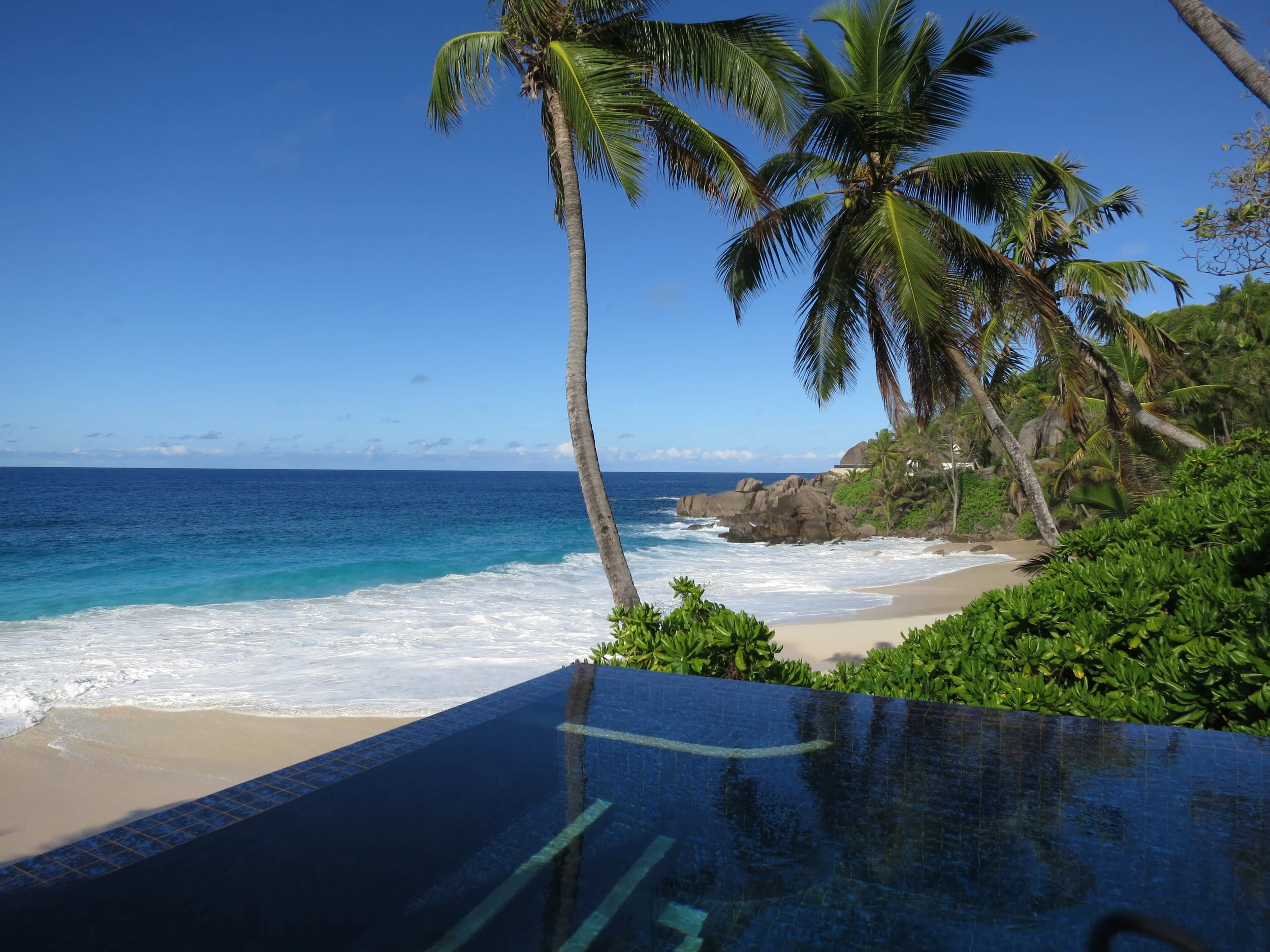 Banyan Tree, Mahe.JPG