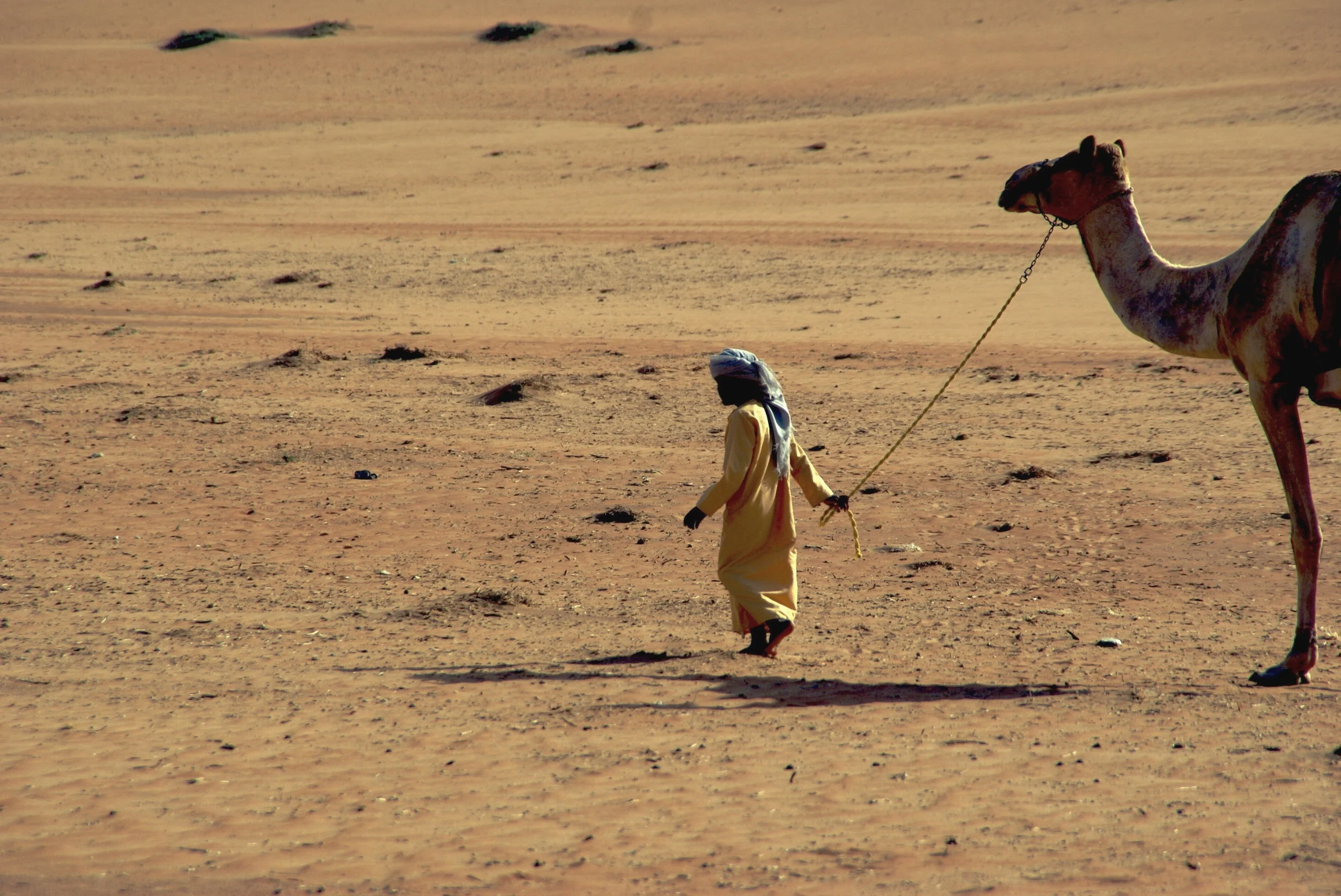 Camel trekking in Oman.JPG
