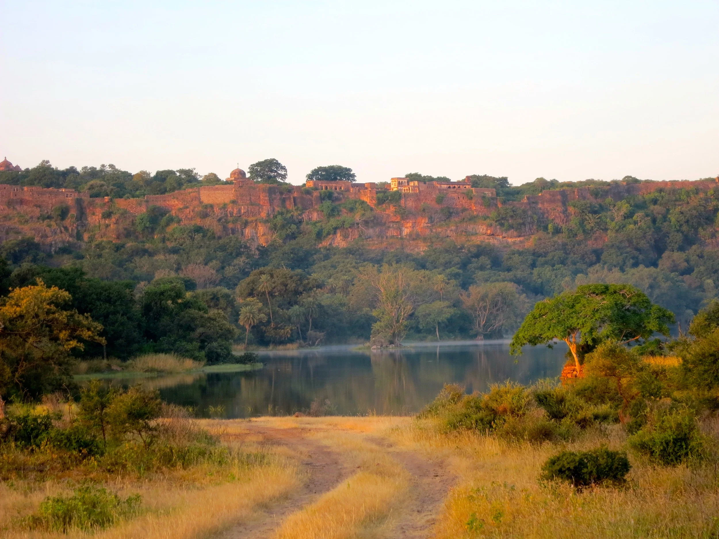 Ranthambore.JPG