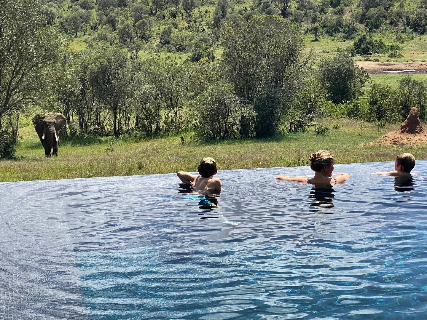 R e a d / all about it - our latest newsletter is out now! Click the link in our bio for some dreamy holiday inspiration - we are ready and waiting to start planning your next big adventure&hellip; #travelswithalice