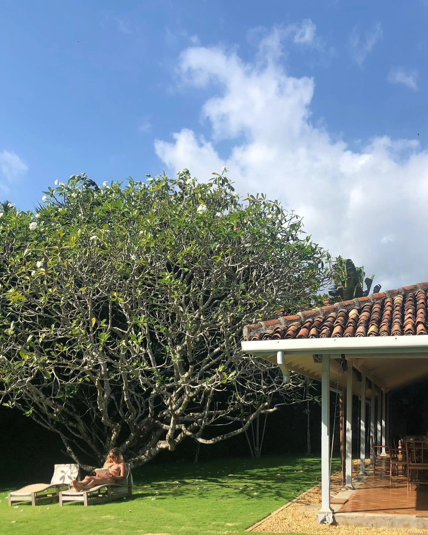 J a n u a r y / blues. If you&rsquo;d like January 2024 to look like this, please do get in touch to discuss ideas for a spectacular Sri Lankan getaway (some of our favourite villas are still available 🤫). #travelswithalice