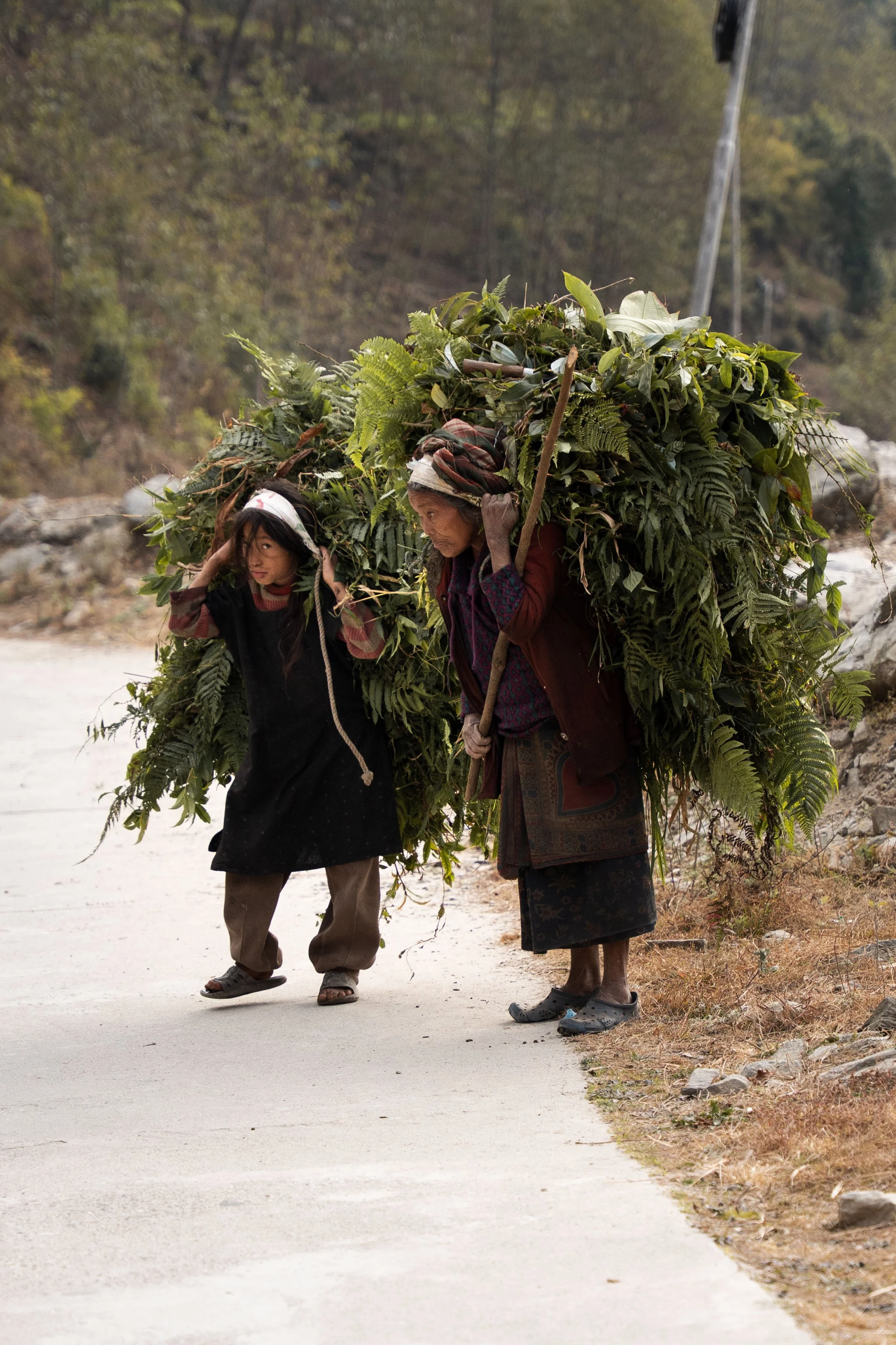 Nepal_Website-17.jpg