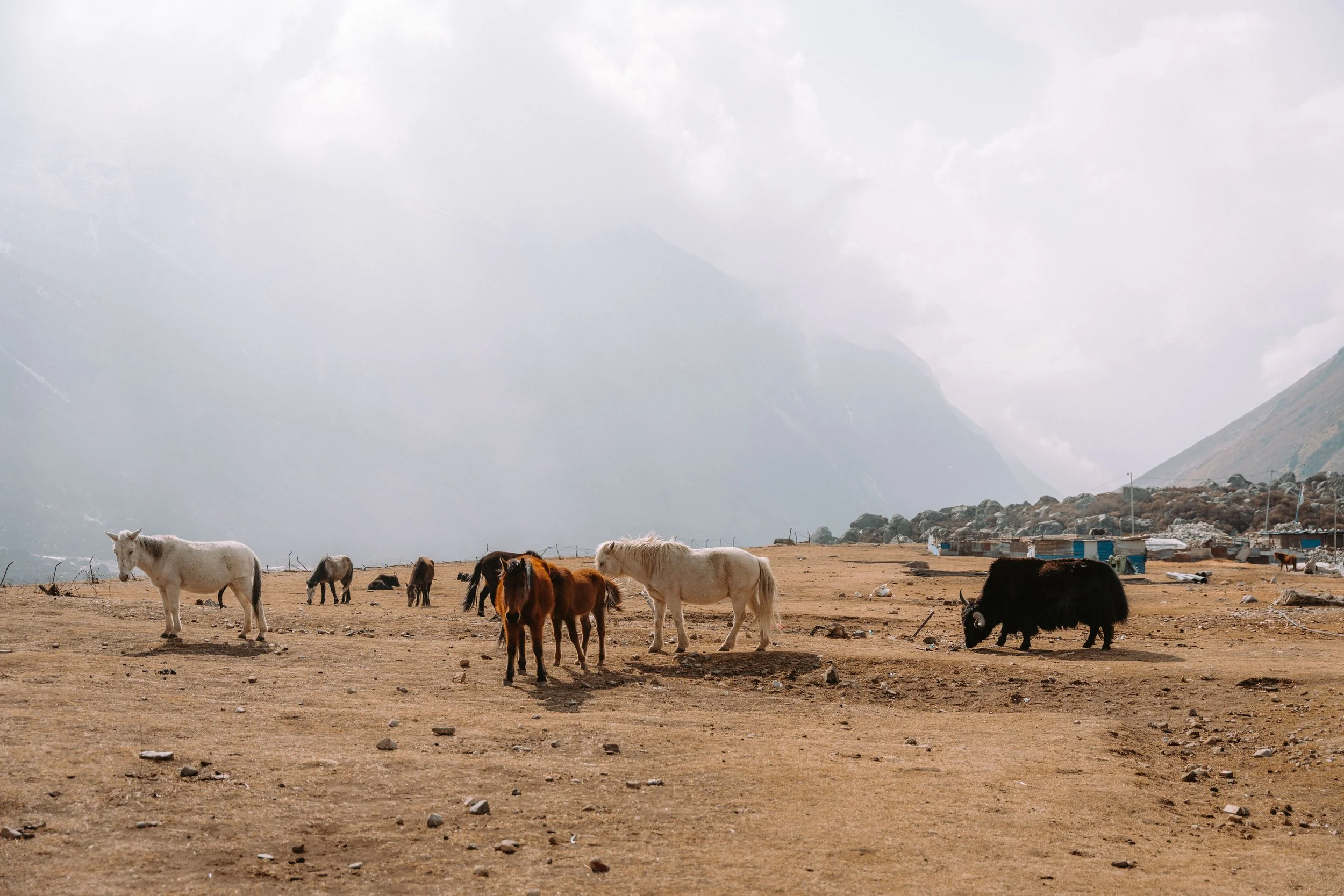 Nepal_Website-60.jpg
