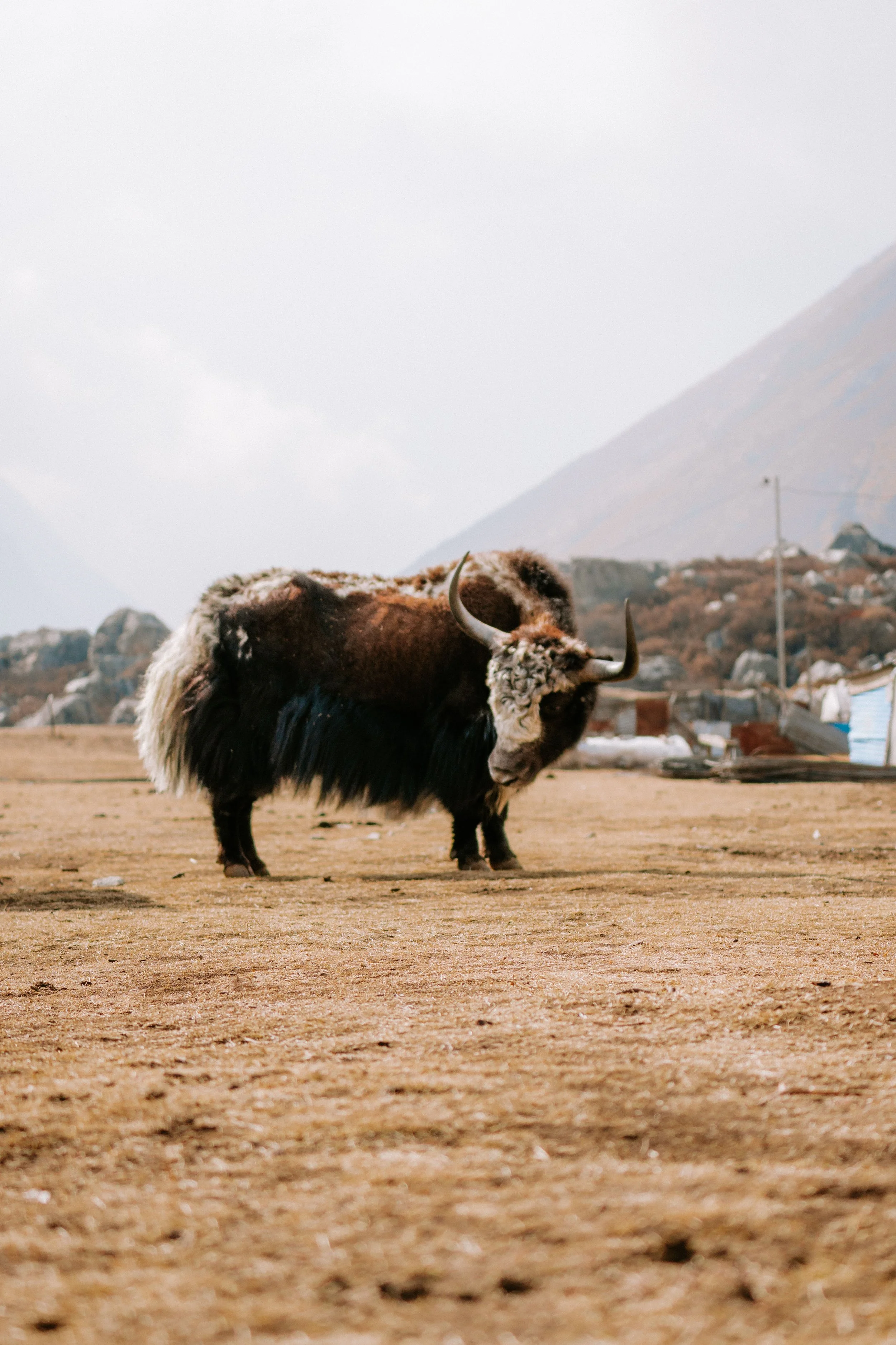 Nepal_Website-63.jpg