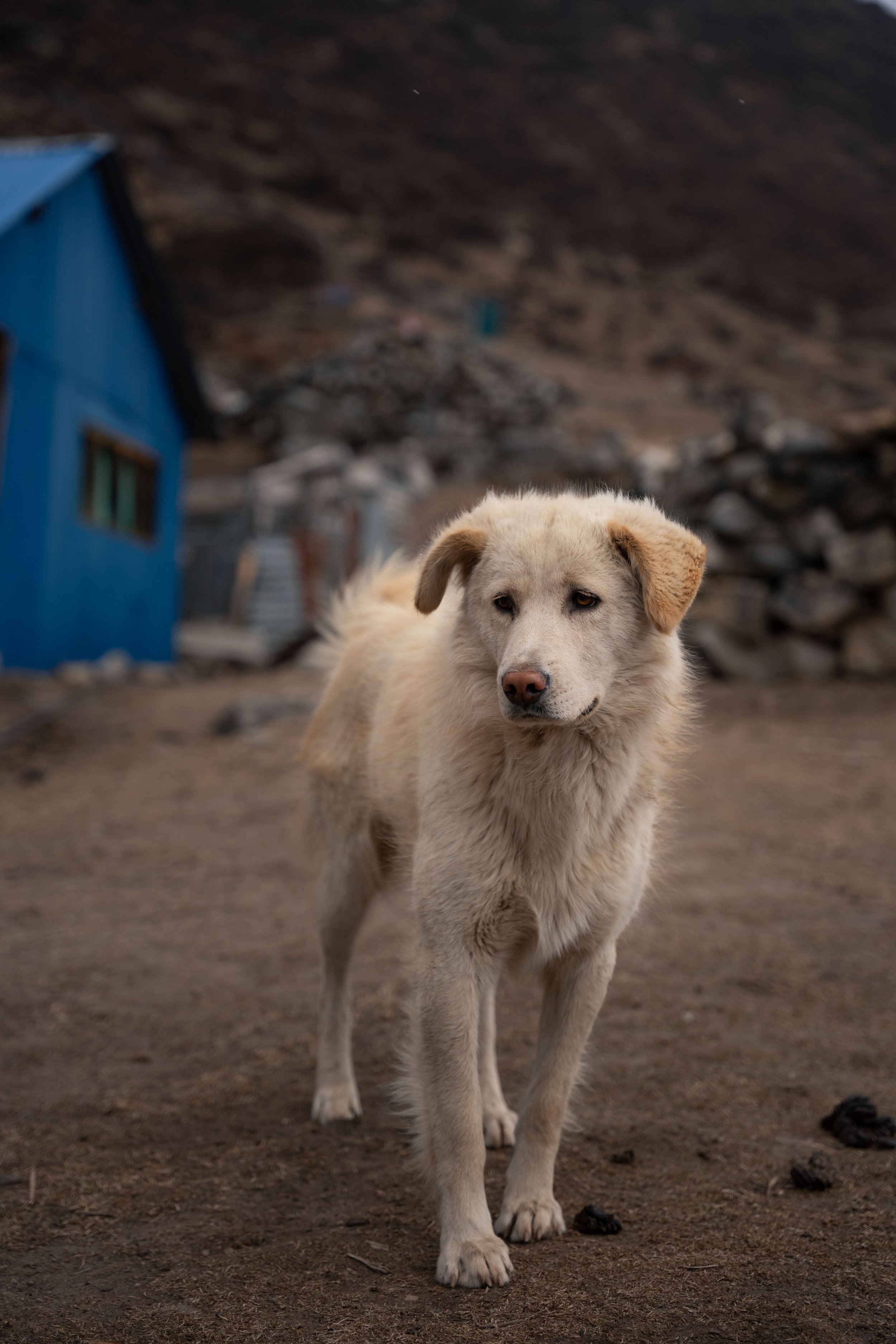 Nepal_Website-53.jpg