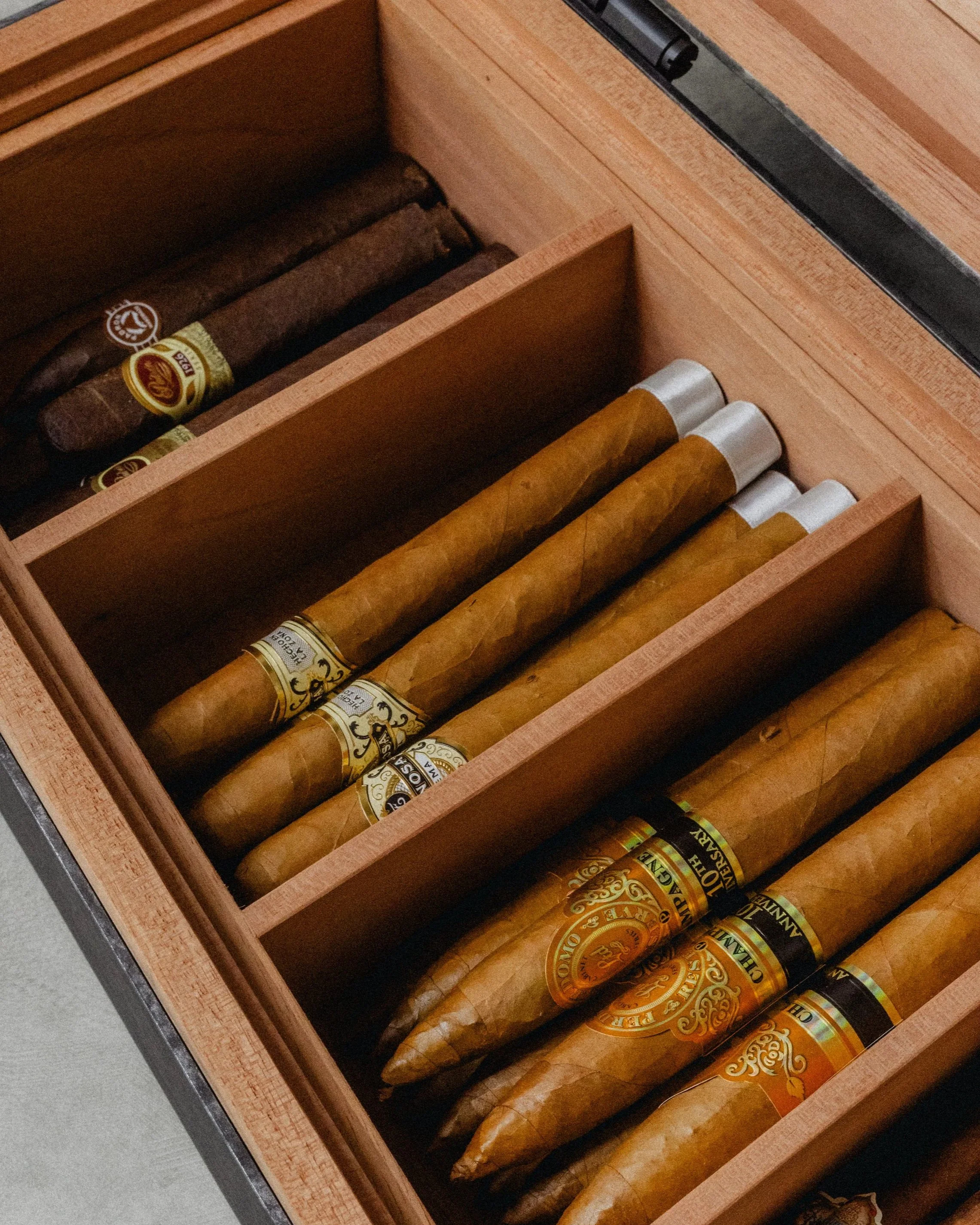 0T8A4236.jpg