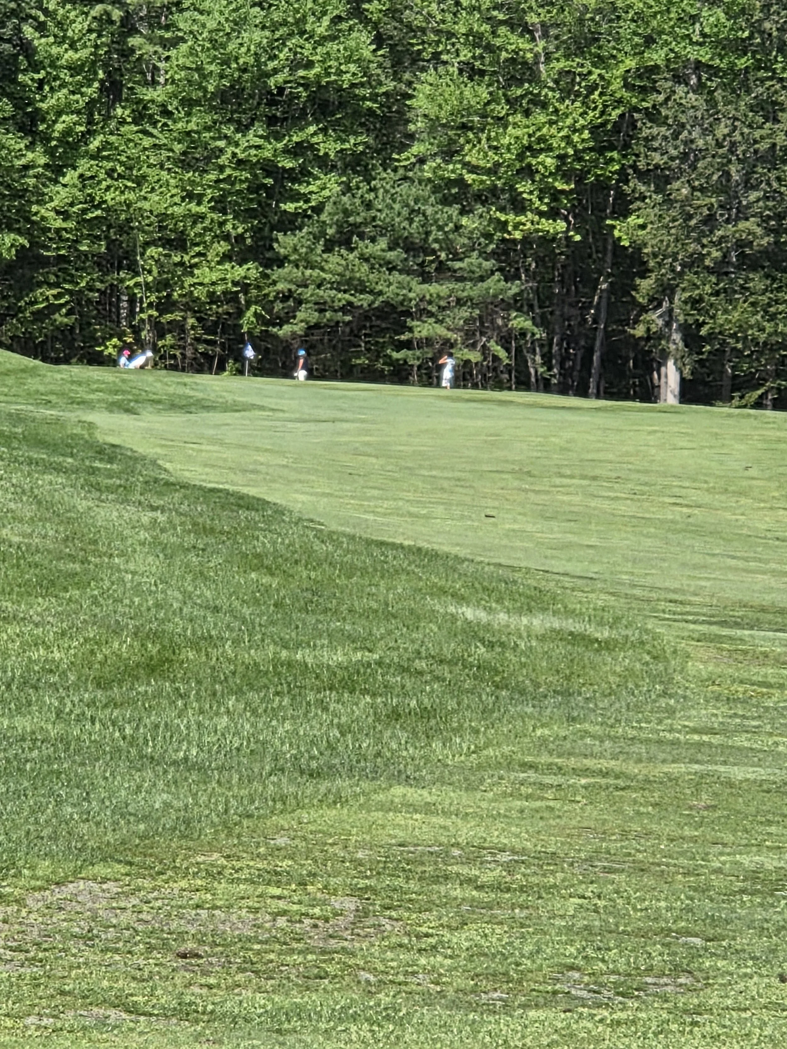 20260519_100840.jpg