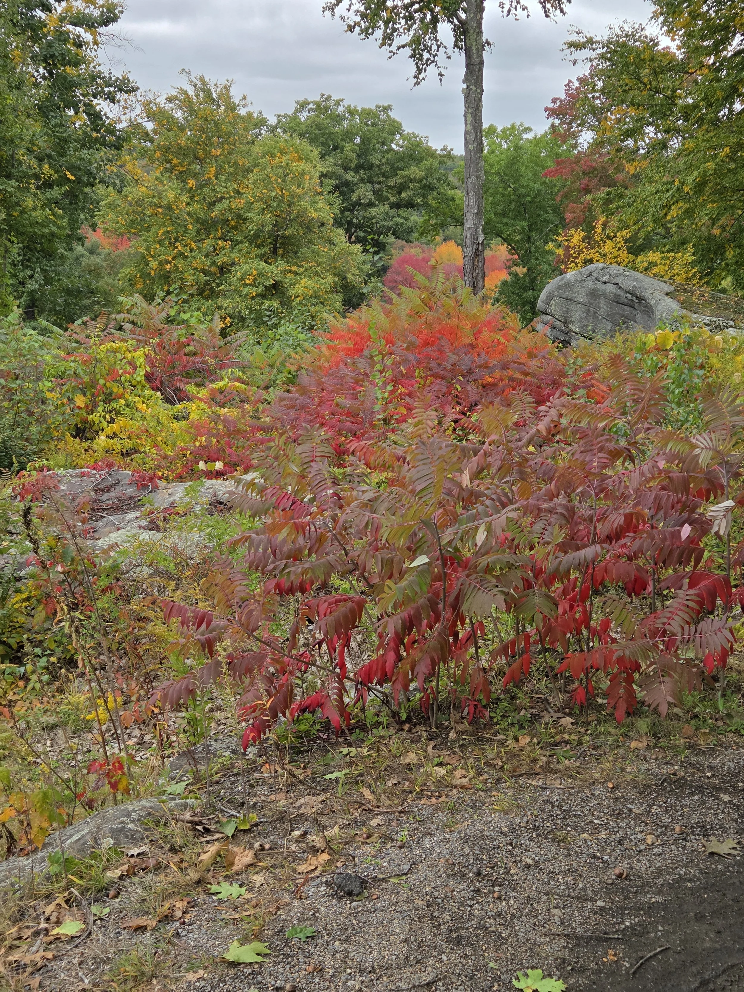 20260930_131958.jpg