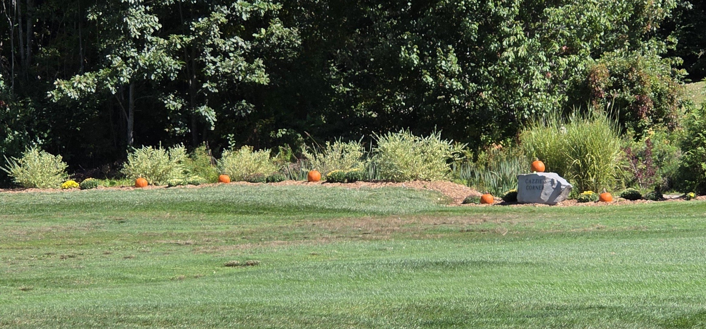 20260915_111306c.jpg
