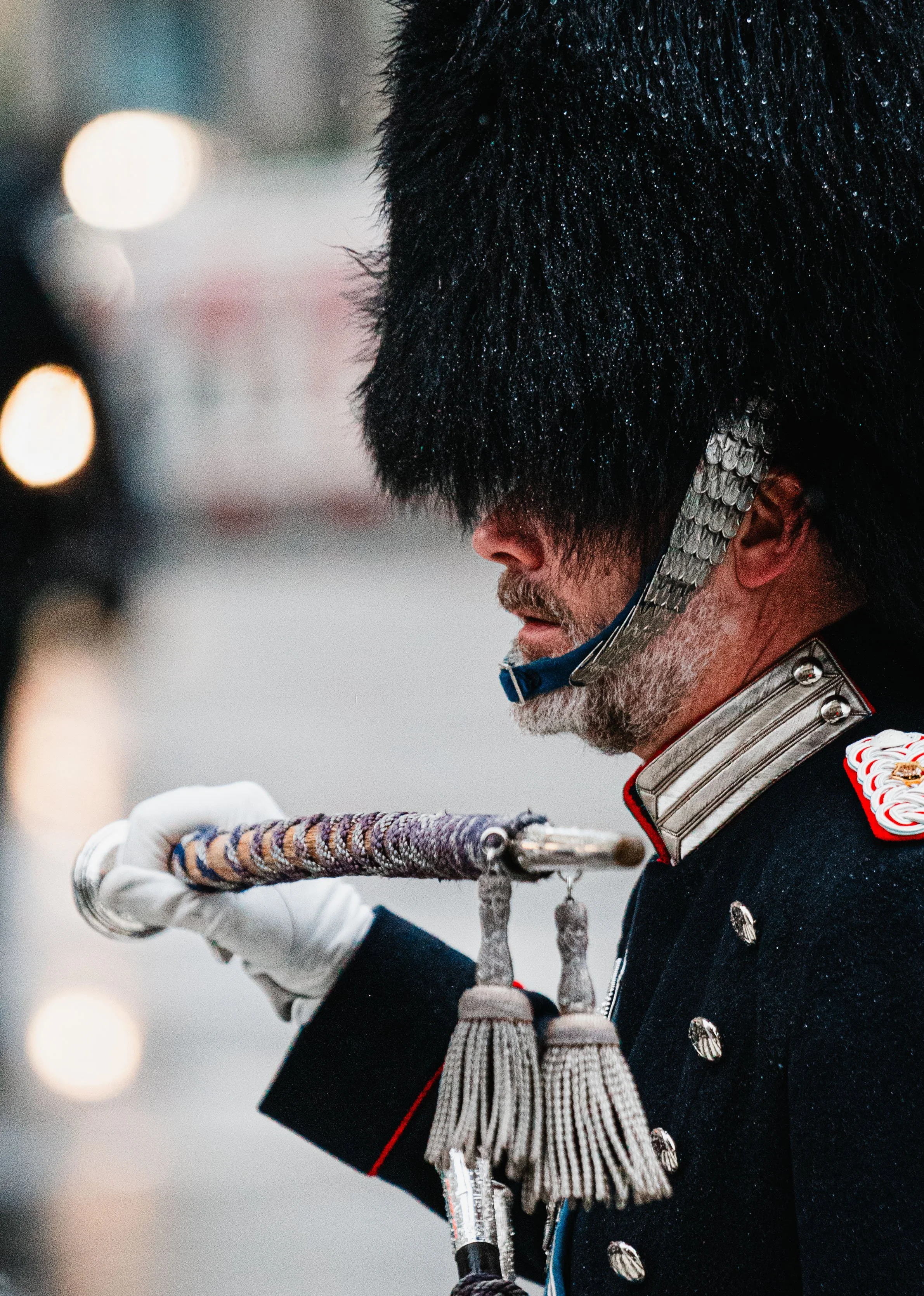 Royal Guards Copenhagen (DK)