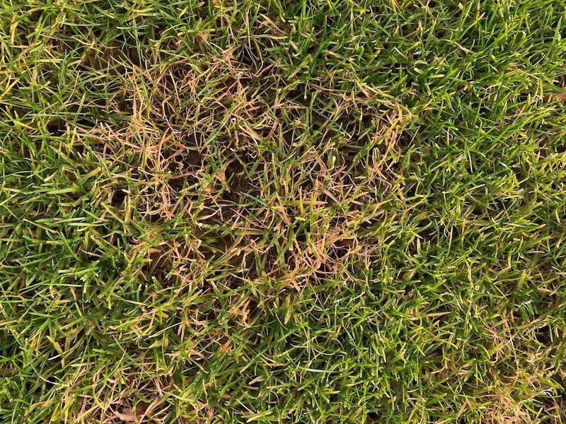 Streep door gewasbeschermingsmiddelen verbod in hoger beroep