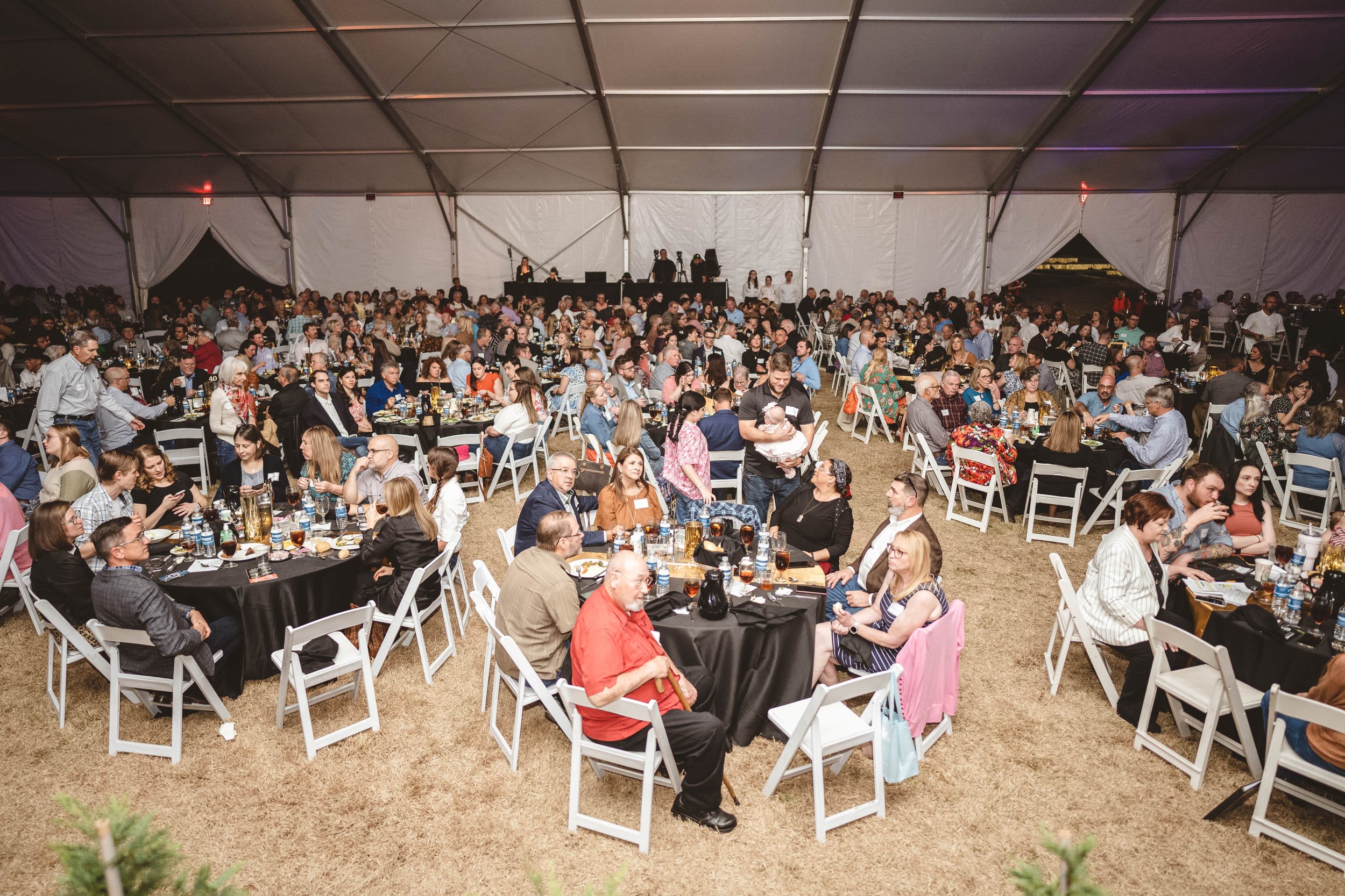 Guests in Tent1-min.jpg