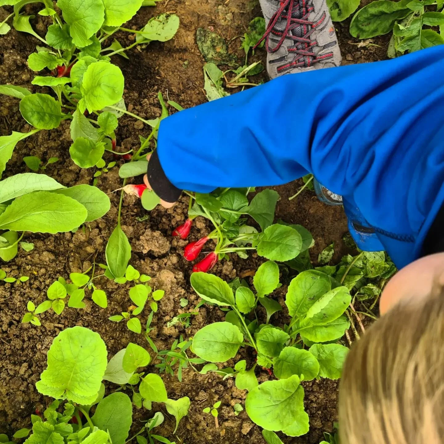 🌱 Les mains dans la terre
❤️ Se connecter au vivant