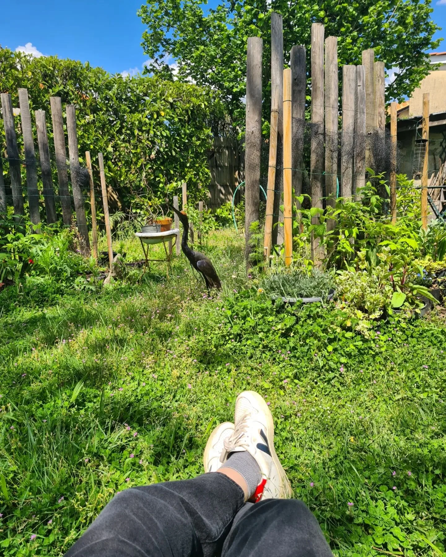 PAUSE ⏸️ 
.
#selfcare #slowdown #grounding