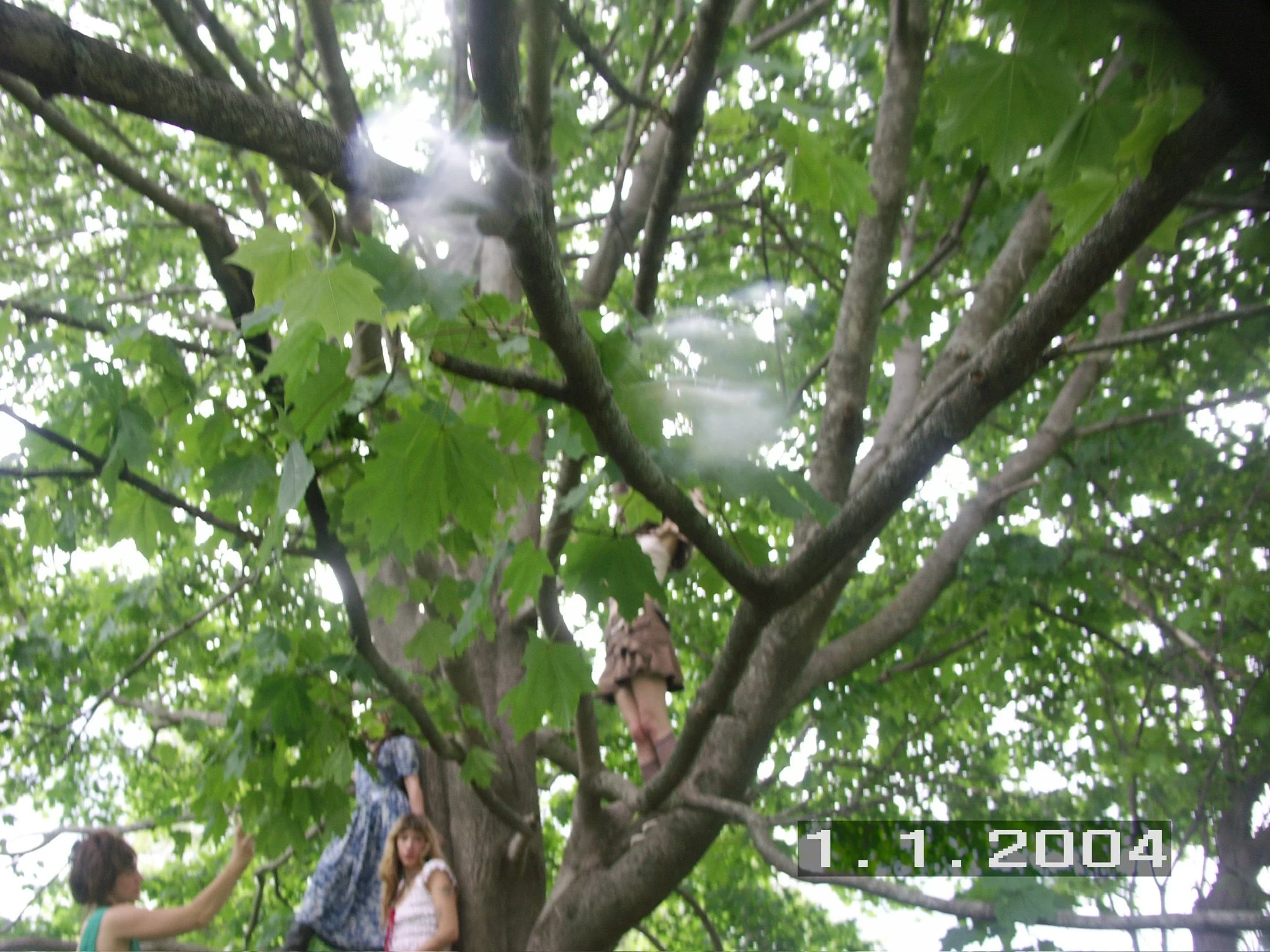 PICT0421.JPG