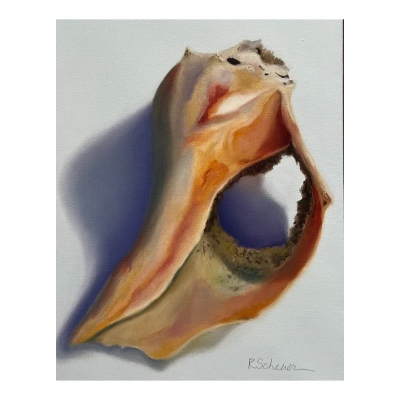 Broken Conch Shell Art