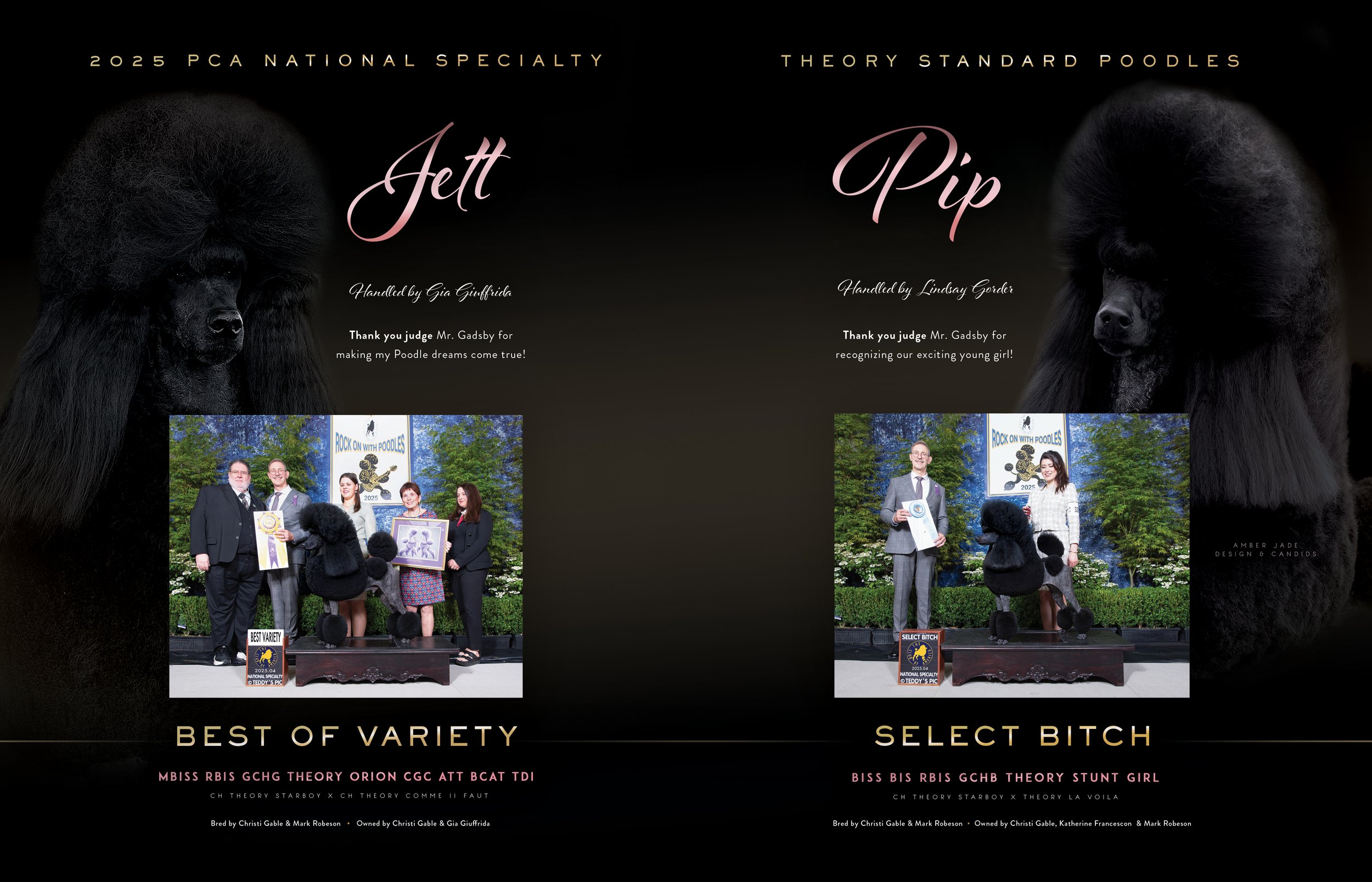 Christi Gable - Jett and Pip 3 rgb.jpeg