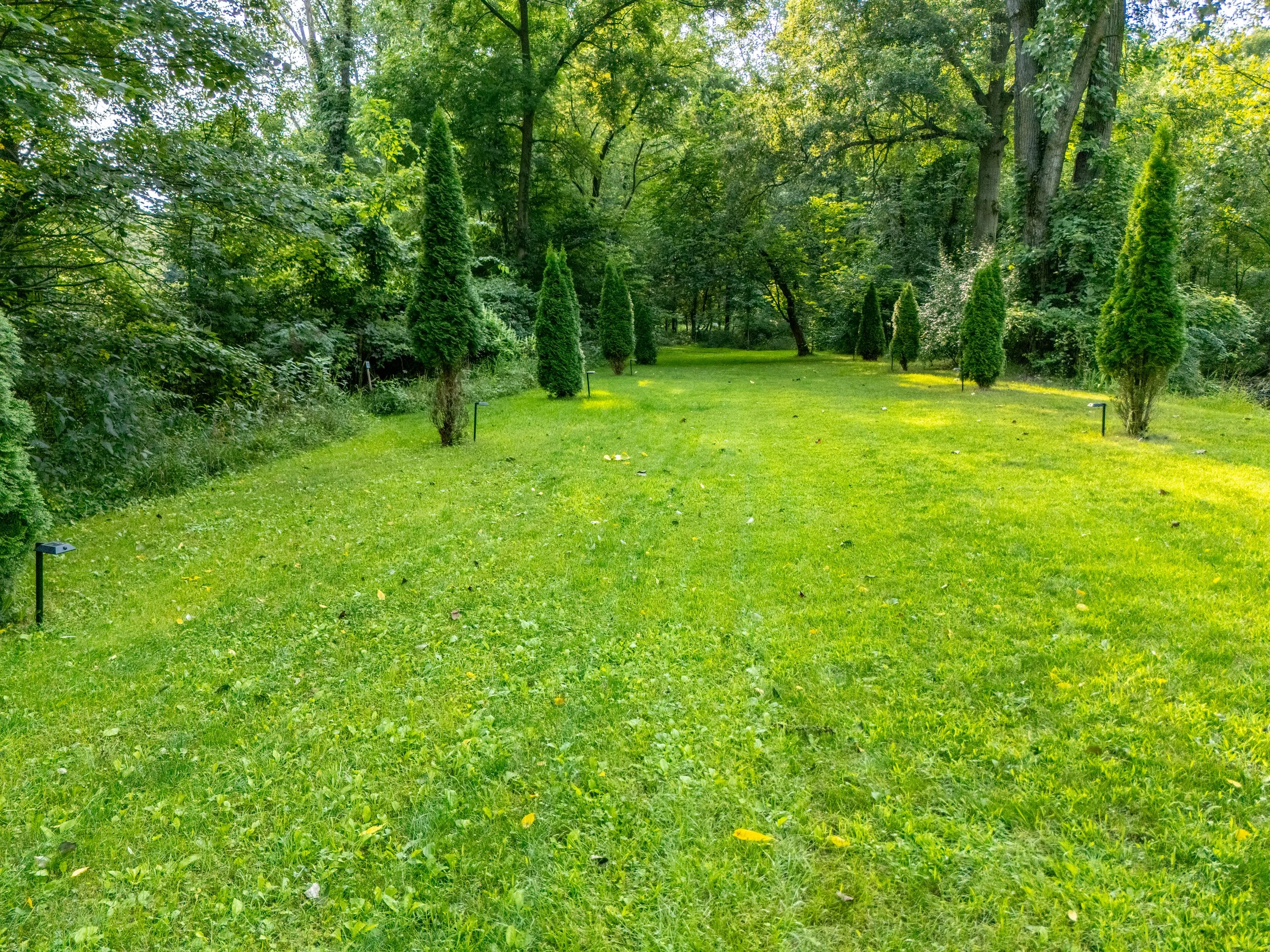 58522 Farrand Rd-521.jpg
