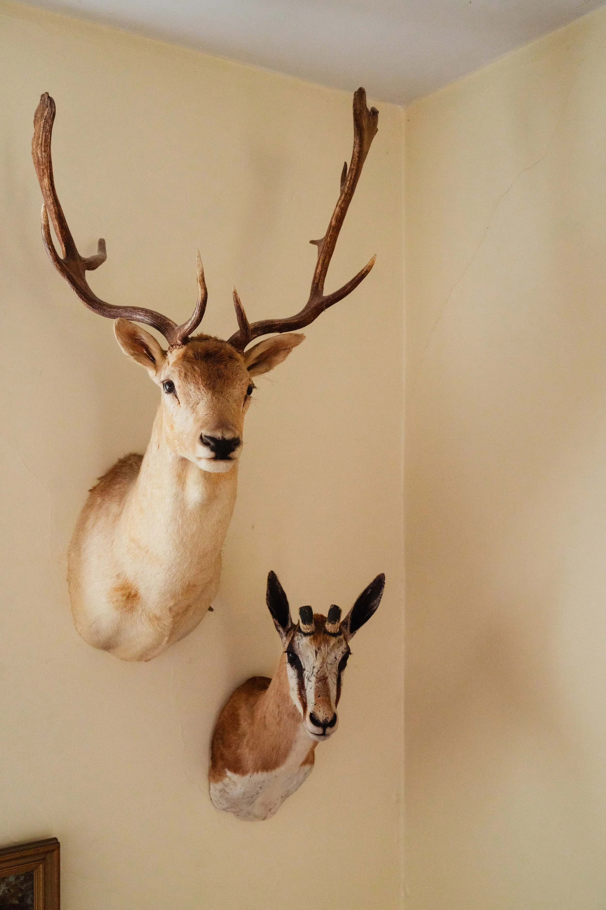 Farrand-Hall_Select-47.jpg