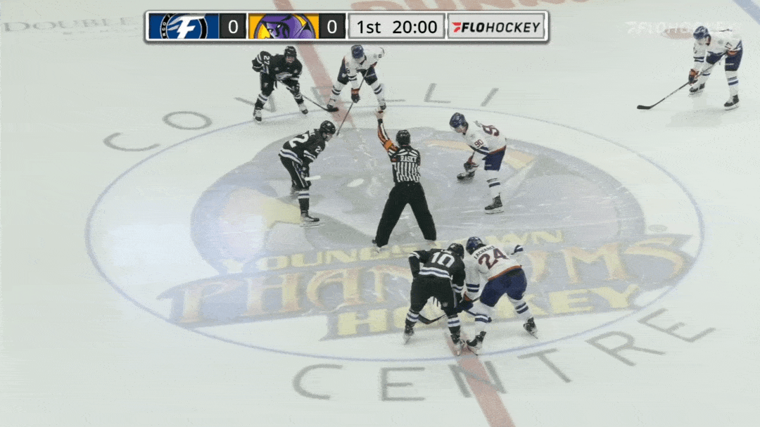 Stinger_GIFs_5.gif