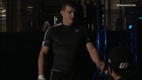 Comp_2.gif