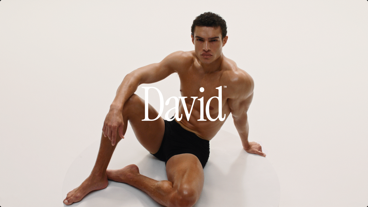David Protein  | Beauty