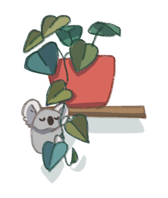 houseplant with cute koala