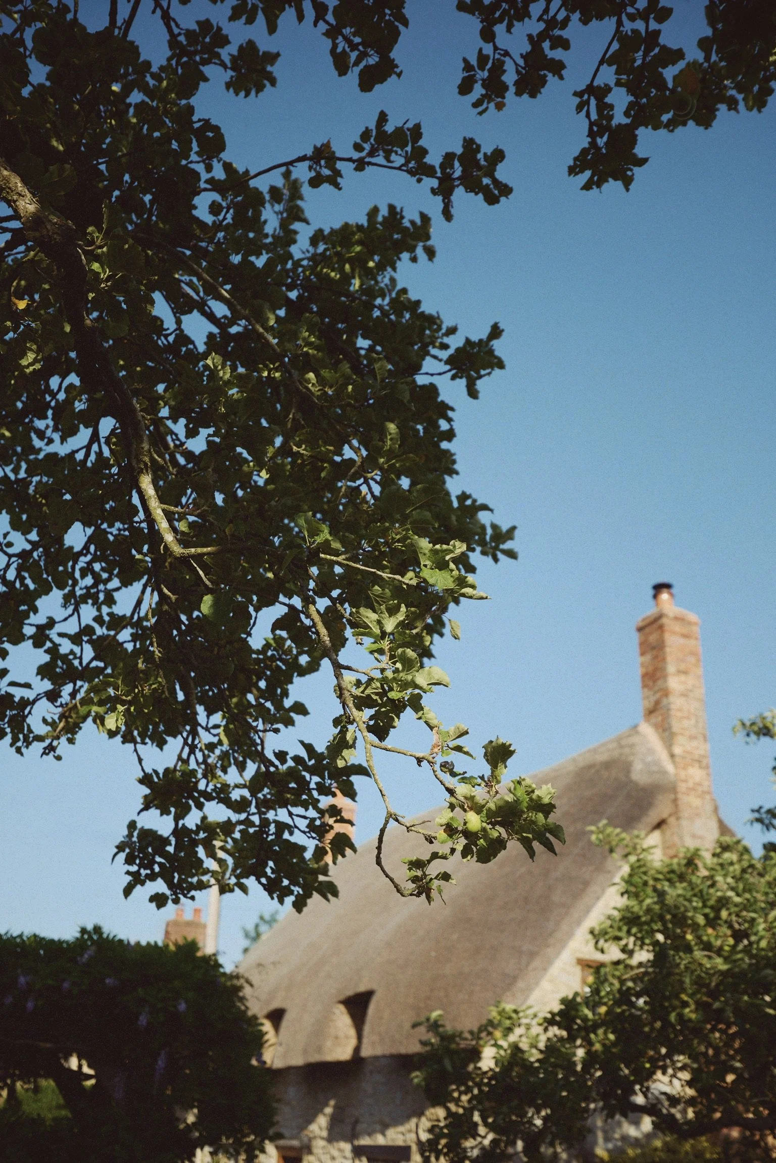 B4A7BD0C-8715-4C4D-BA36-13D7FD9A207E.JPG
