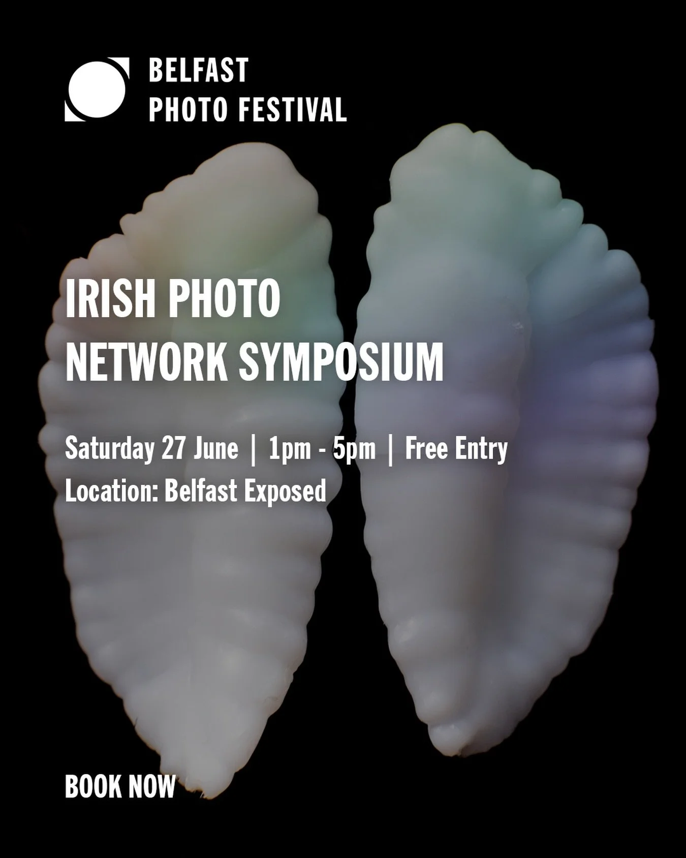IRISH PHOTO NETWORK SYMPOSIUM
SATURDAY 27 JUNE | 1PM - 5PM
BELFAST EXPOSED
FREE ENTRY, BOOK NOW: LINK IN BIO

Join Belfast Photo Festival and the Irish Photo Network partners for a free afternoon symposium exploring photography in the digital age. Br