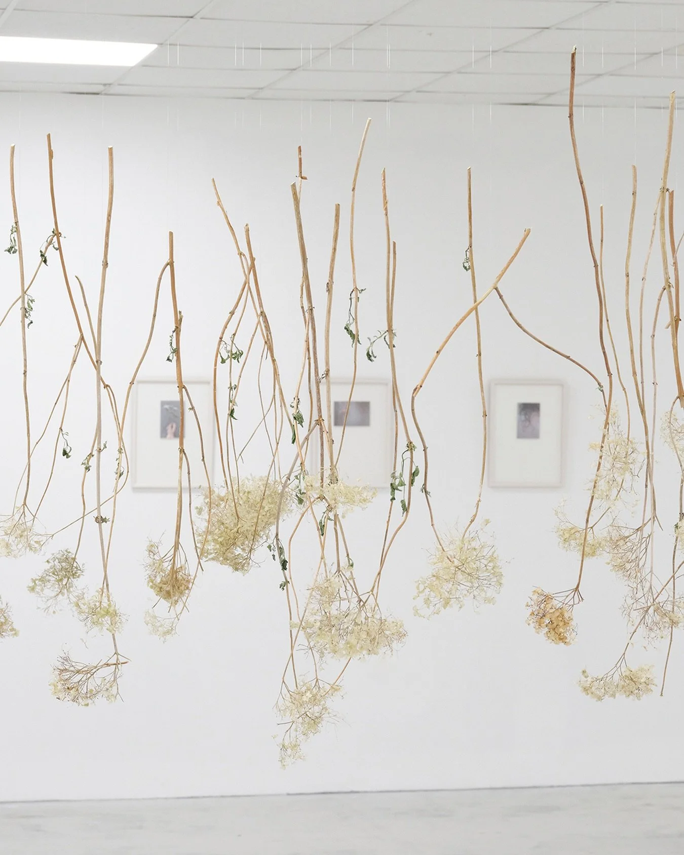 THE PUSH AND PULL - KATIE MOORE
30 APRIL - 4 JUNE | MON - THURS | 10AM - 5PM
SPECIAL OPENINGS: FRI 5 &amp; SAT 6 JUNE | 10AM - 4PM
QSS STUDIOS &amp; GALLERY

Rooted in the landscape and light of the west of Ireland, &lsquo;The Push and Pull&rsquo; ex