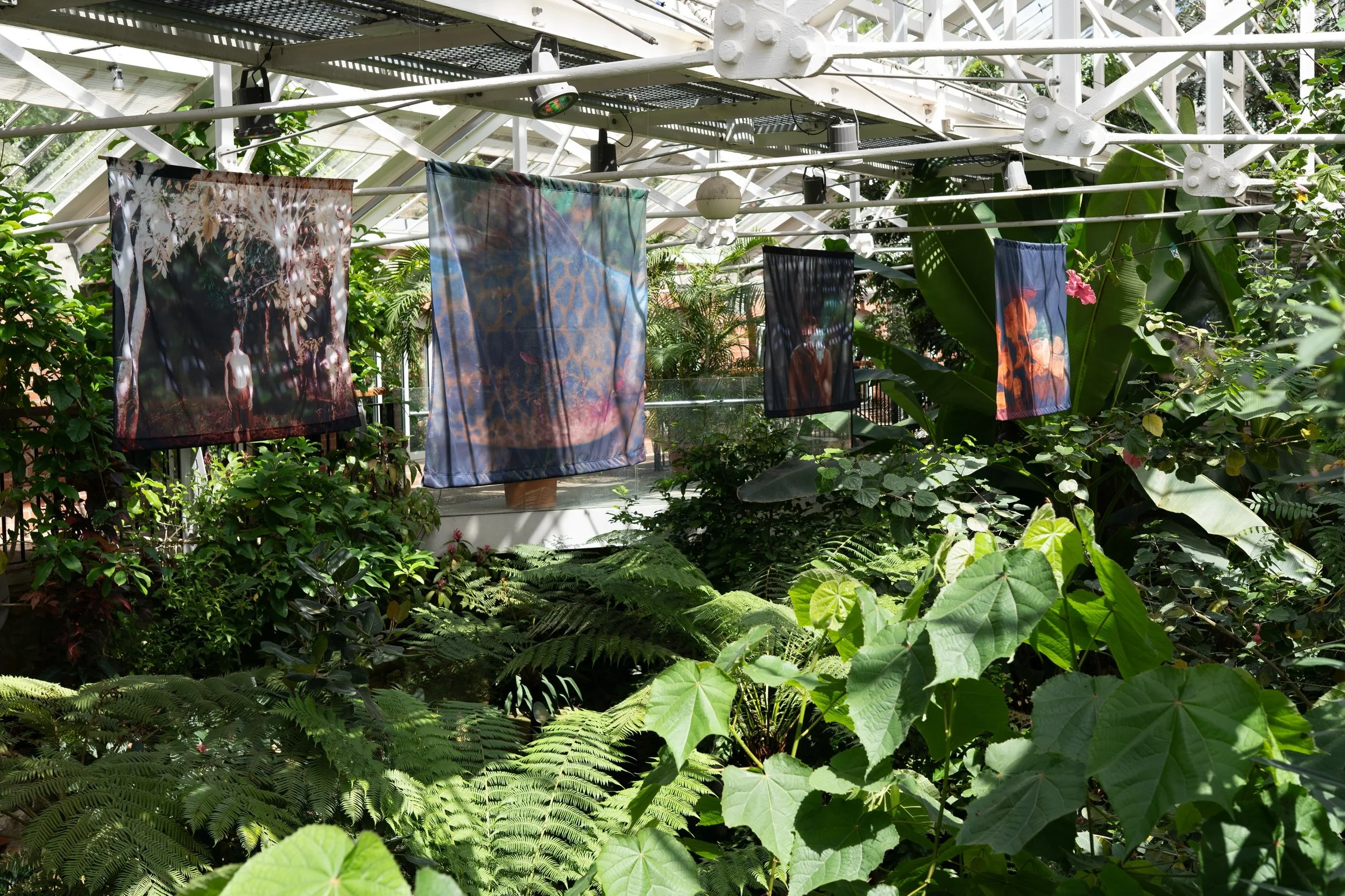 THE SONG OF INVISIBLE BIRDS
FLORENCE GOUPIL
4 JUNE - 5 JULY | 10AM - 4PM
TROPICAL RAVINE, BOTANIC GARDENS

&lsquo;The Song of Invisible Birds&rsquo; explores the violent pressures facing Indigenous peoples living in voluntary isolation in the Peruvia
