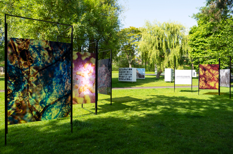 2025 biosphere botanic.png