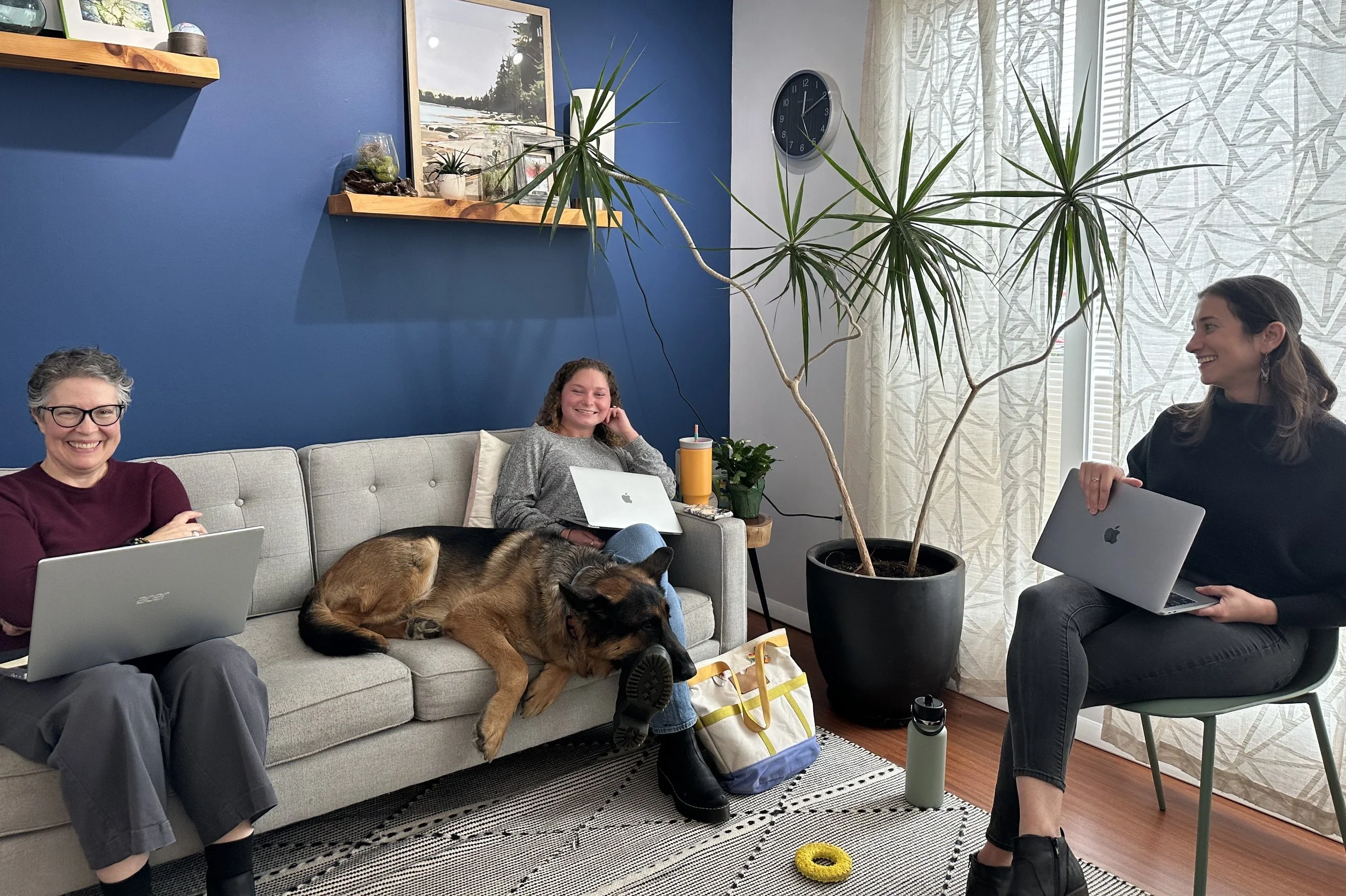 Three women sitting in a living room with laptops, a dog lying on the couch, and a large potted plant. They are smiling and engaged in conversation, with a blue wall and framed pictures behind them.