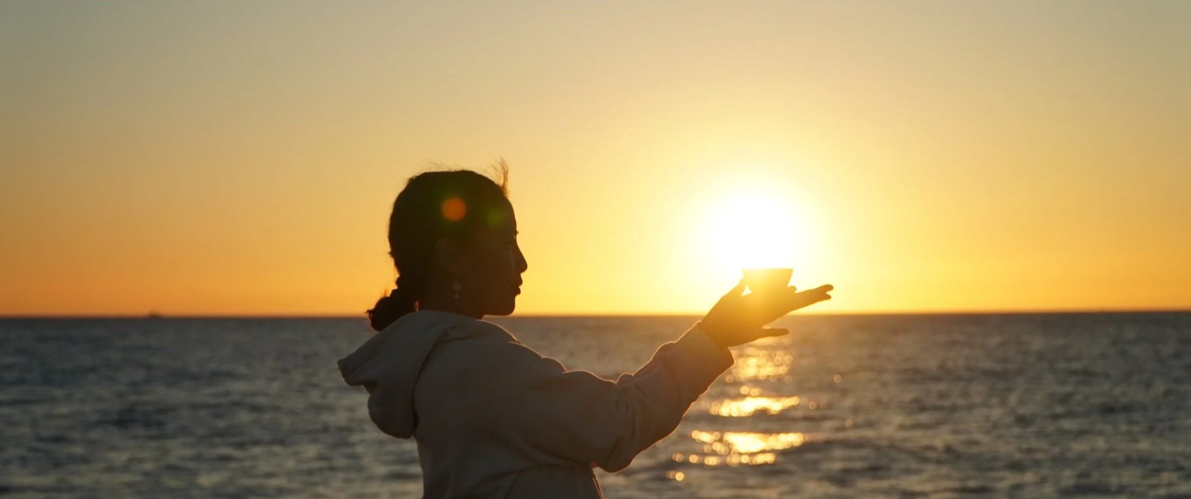 From Survival to Alignment  12-Week Coaching Journey