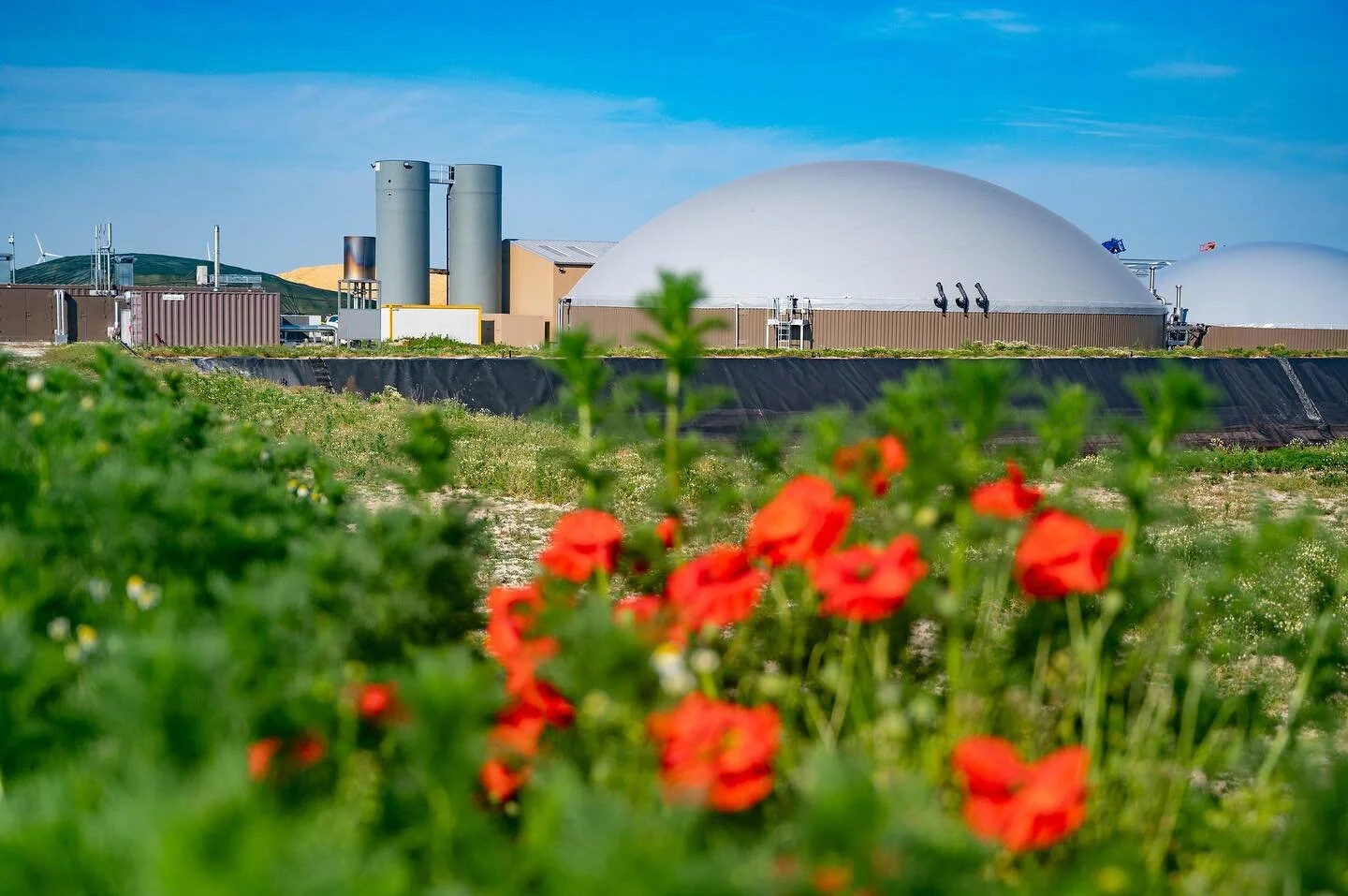 M&eacute;thaniseur : Rien ne se perd tout se transforme ♻️

Lorsque l&rsquo;on conditionne des pommes de terre, on r&eacute;colte des d&eacute;chets (pommes de terre coup&eacute;es, ab&icirc;m&eacute;es, etc&hellip;).

Ces pommes de terre ne sont pas