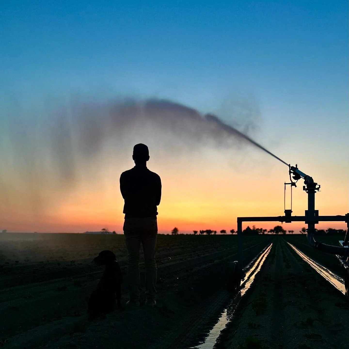 L&rsquo;eau c&rsquo;est la vie 💦 

🥔 Comme beaucoup de l&eacute;gumes, nos ch&egrave;res pommes de terre ont besoin d&rsquo;eau pour se d&eacute;velopper. 

Heureusement, Dame Nature nous offre de bonnes r&eacute;serves en eau, que nous utilisons p