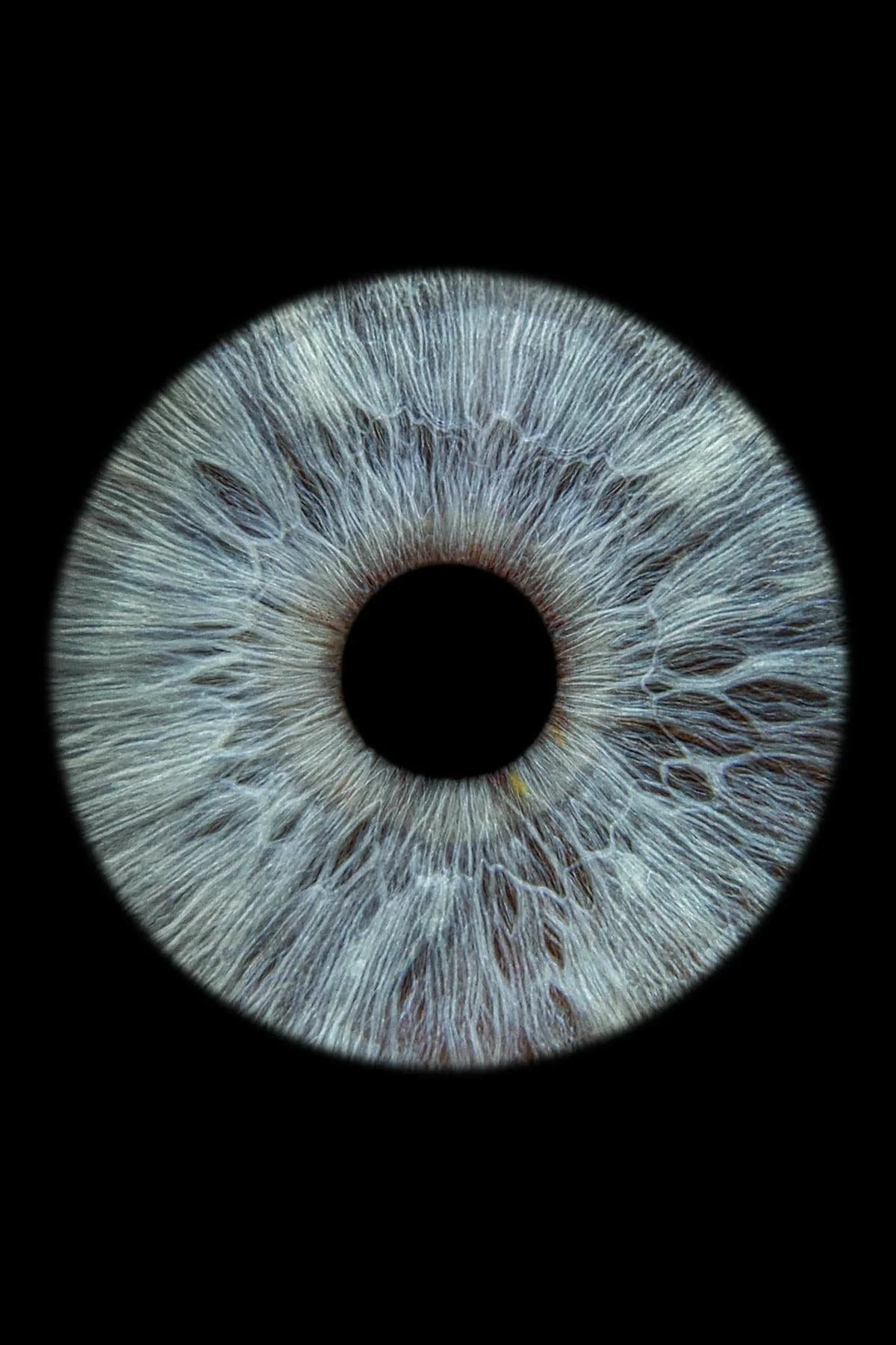 Upclose eye for EMDR